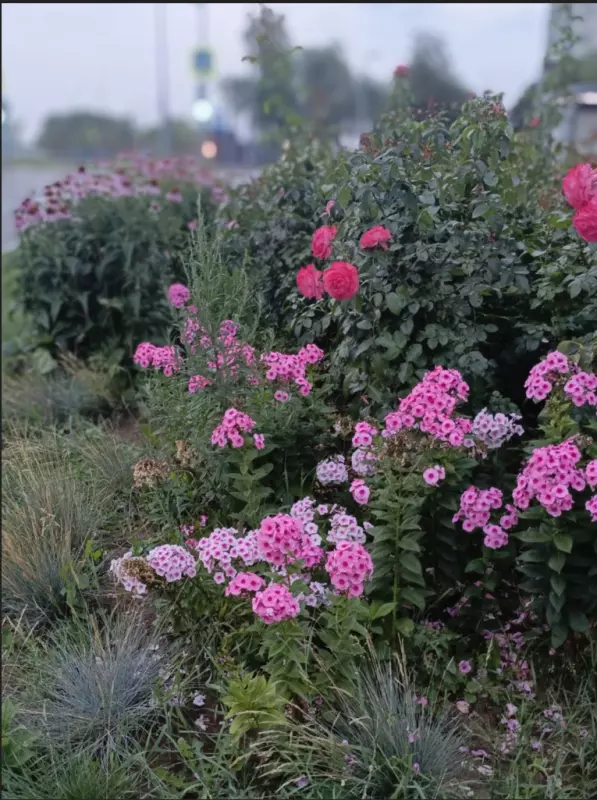 Коломенское