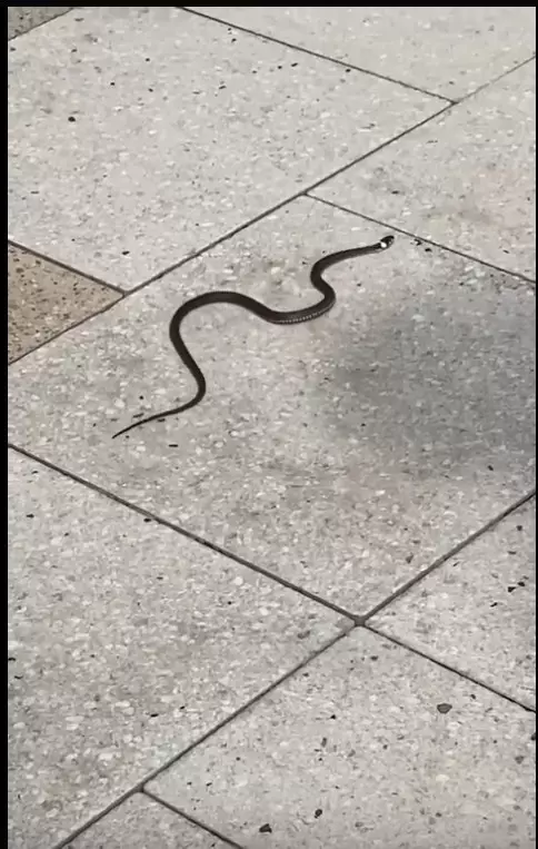 Коломенское