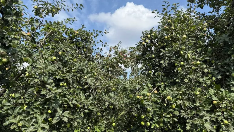 Коломенское