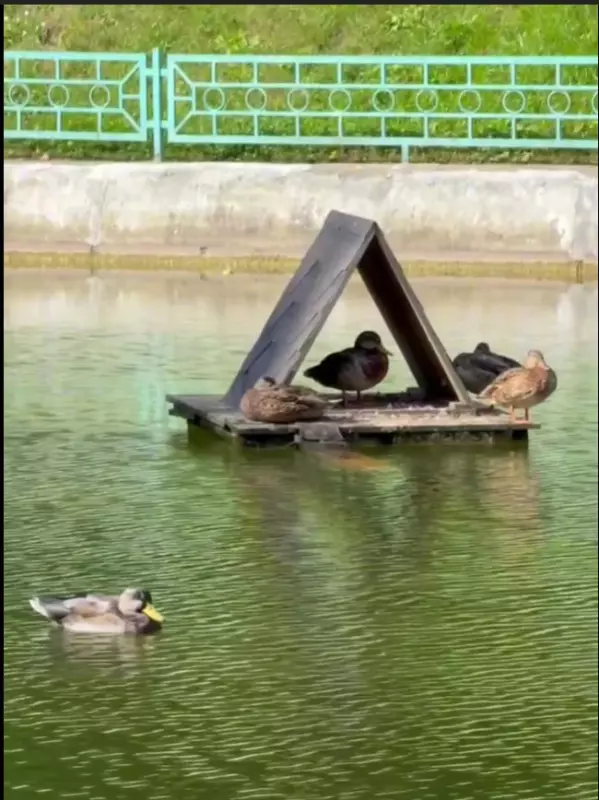 Коломенское