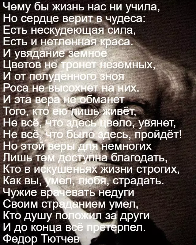 Любимые стихи