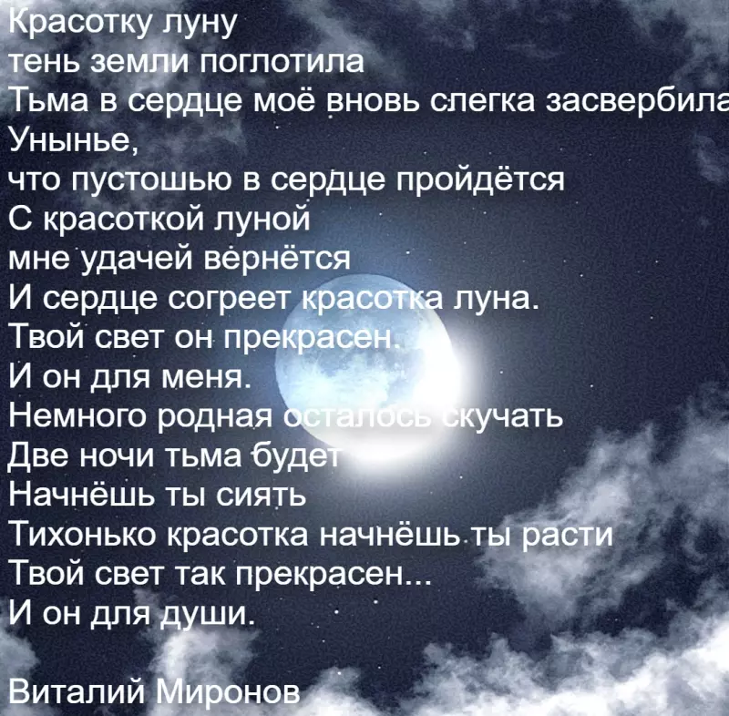 Любимые стихи