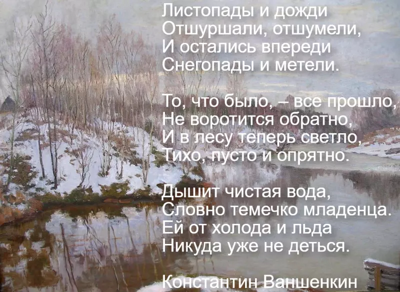 Любимые стихи