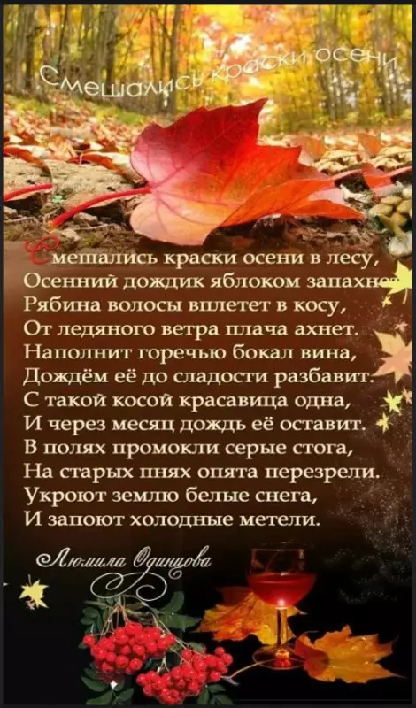 Любимые стихи