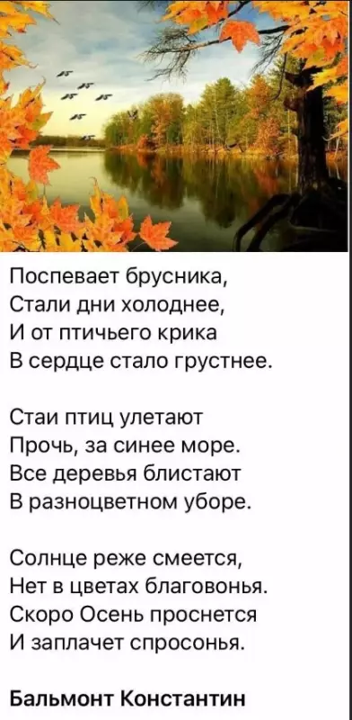 Любимые стихи