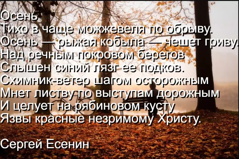 Любимые стихи