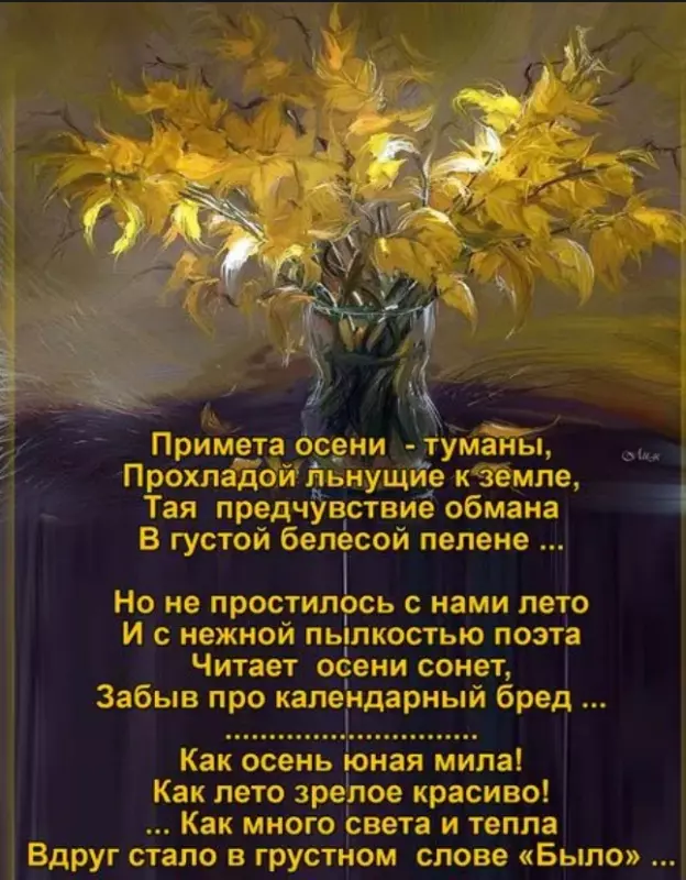 Любимые стихи