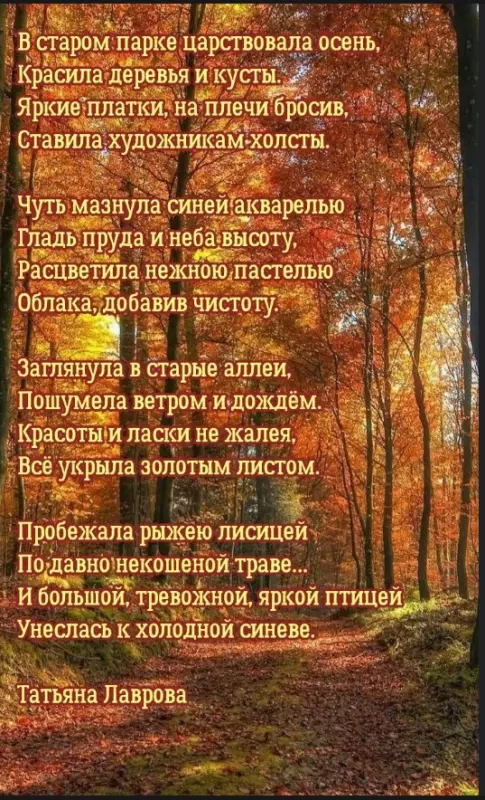 Любимые стихи