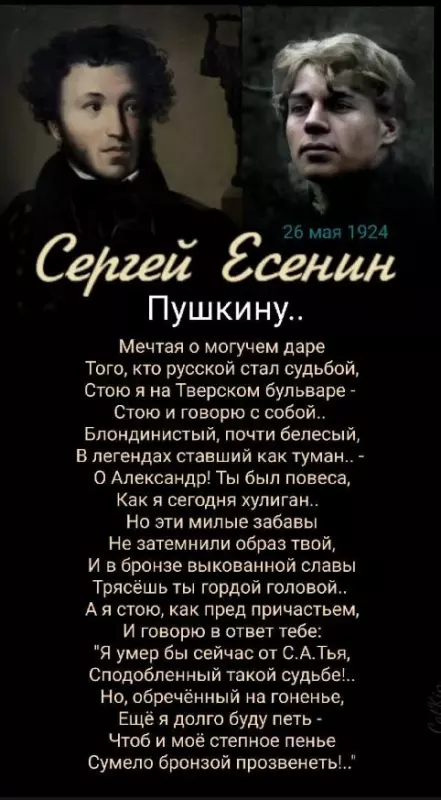 Любимые стихи