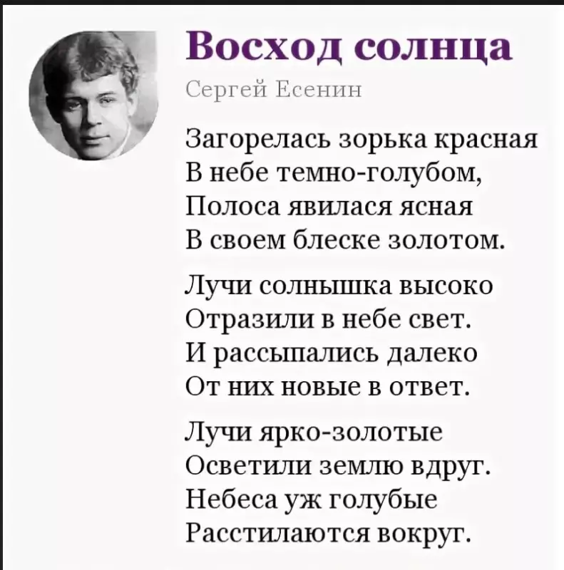 Любимые стихи