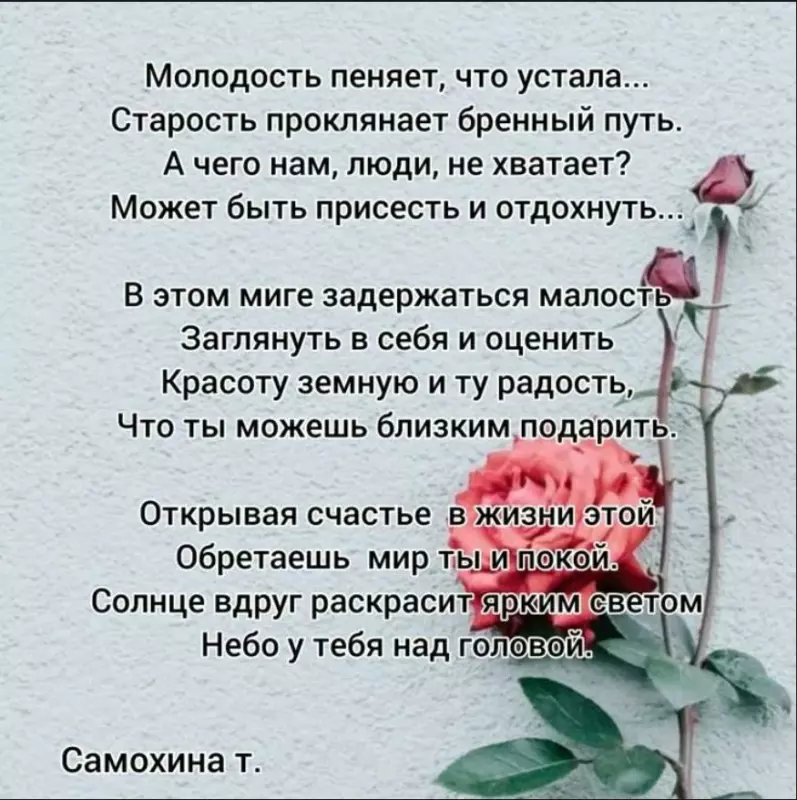 Любимые стихи