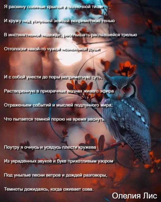 Любимые стихи