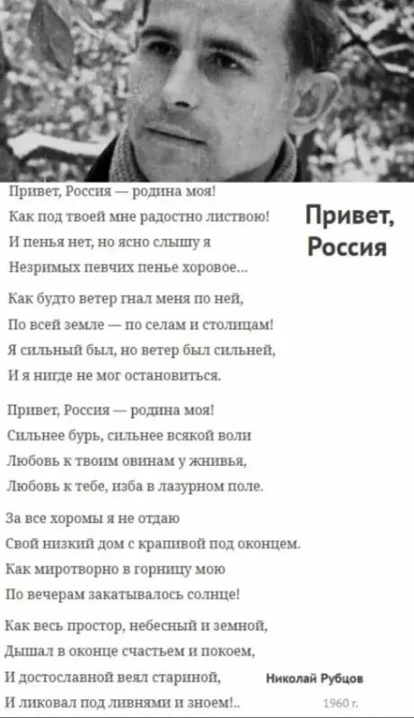 Любимые стихи