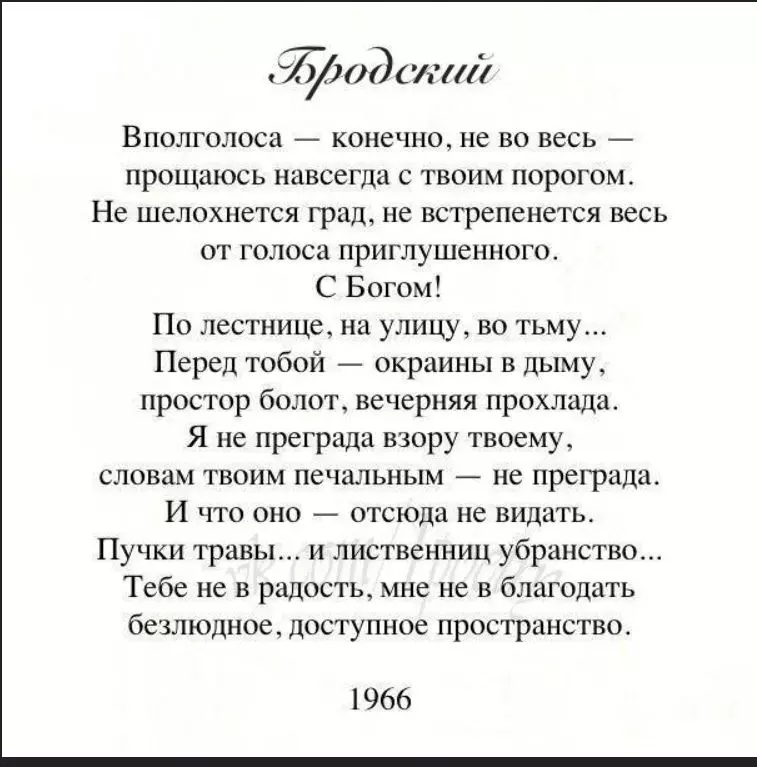 Любимые стихи