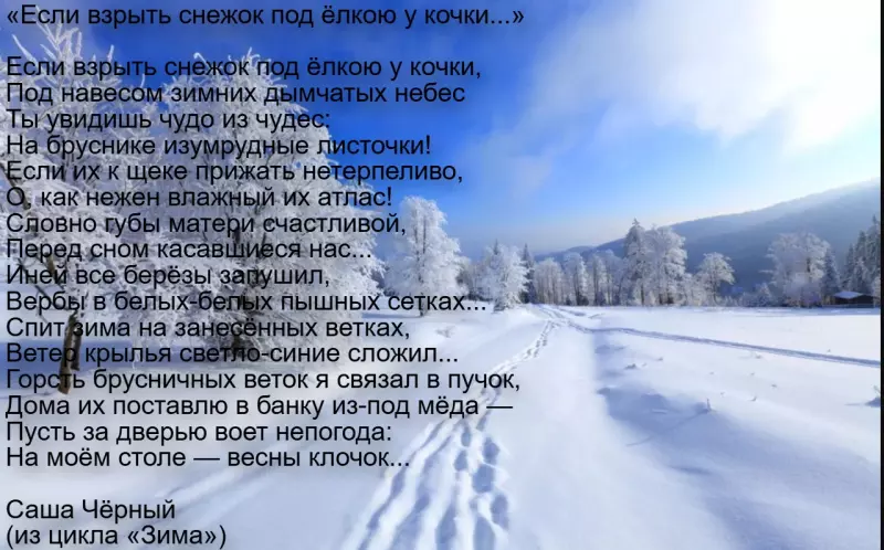 Любимые стихи