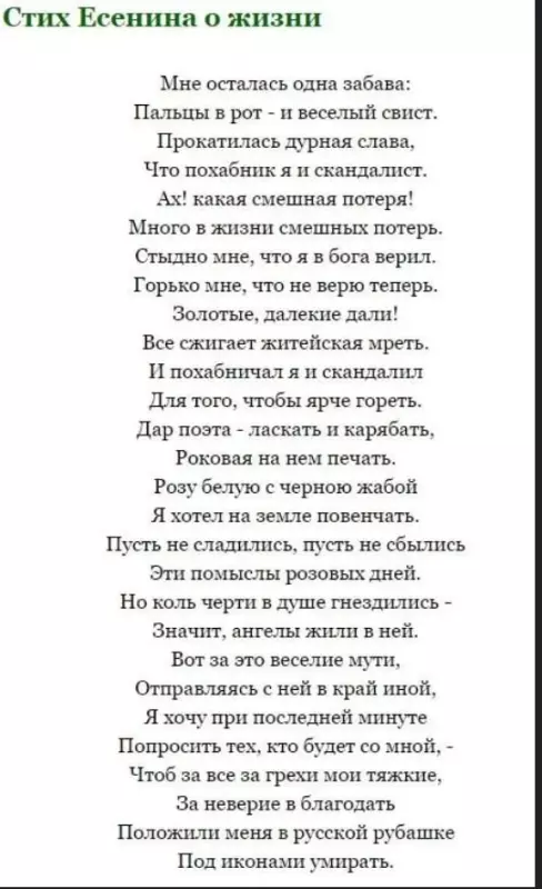 Любимые стихи