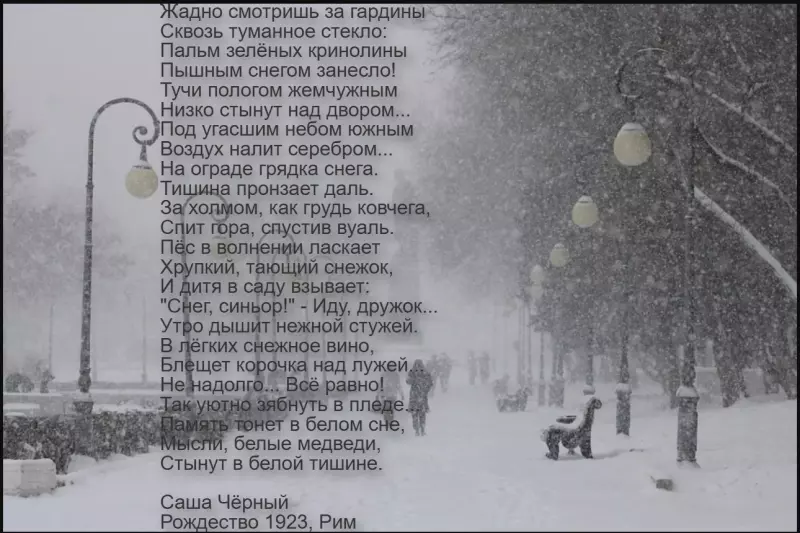 Любимые стихи