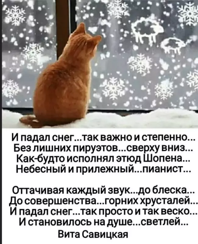 Любимые стихи