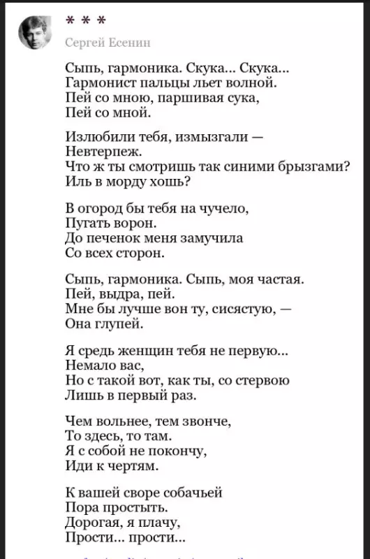 Любимые стихи