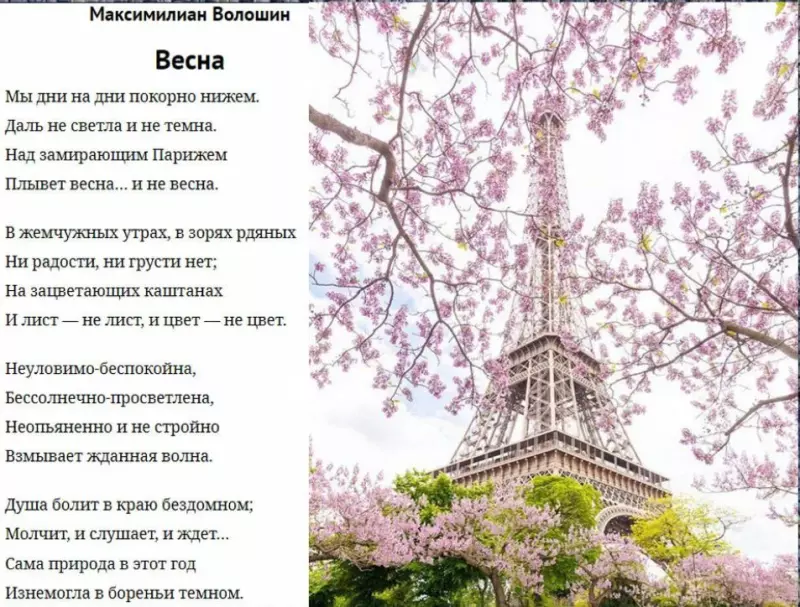 Любимые стихи