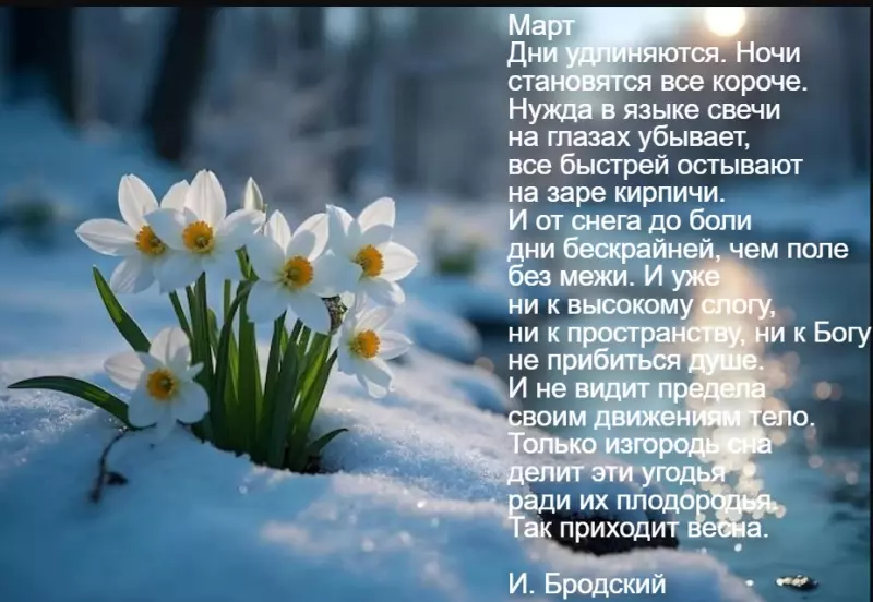 Любимые стихи