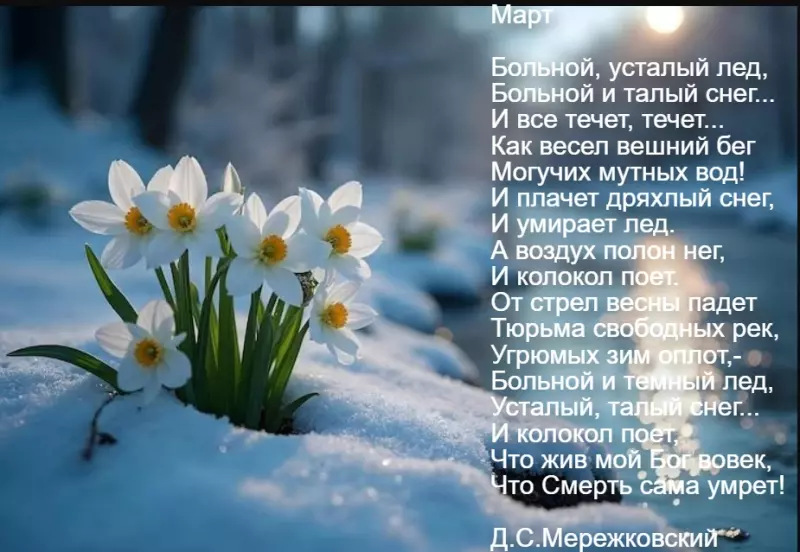 Любимые стихи