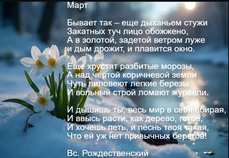 Любимые стихи