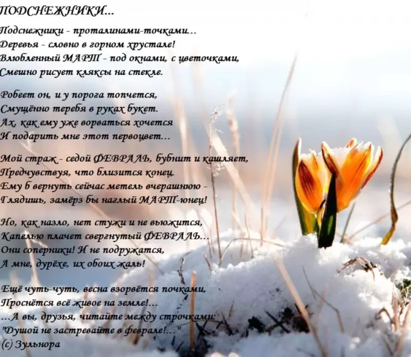 Любимые стихи