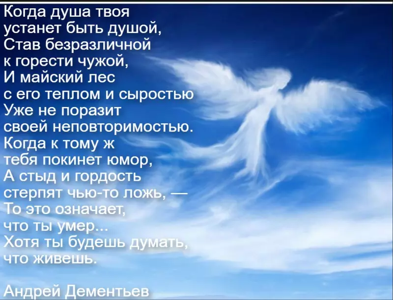 Любимые стихи