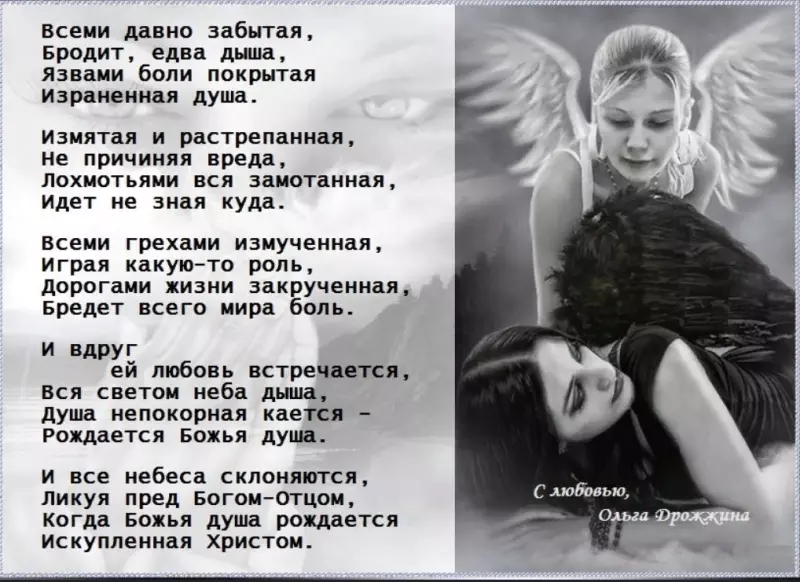 Любимые стихи