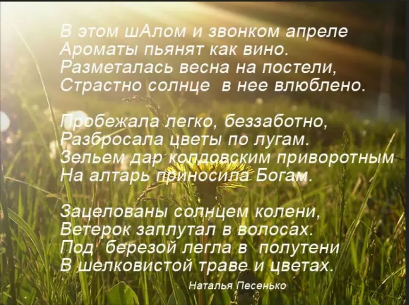 Любимые стихи