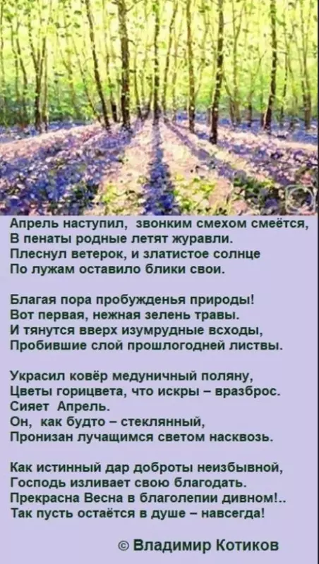 Любимые стихи
