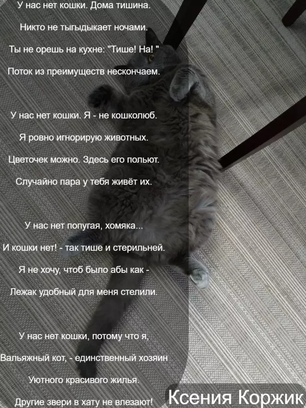 Любимые стихи