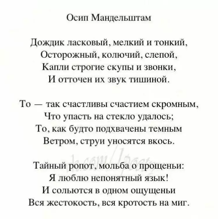 Любимые стихи