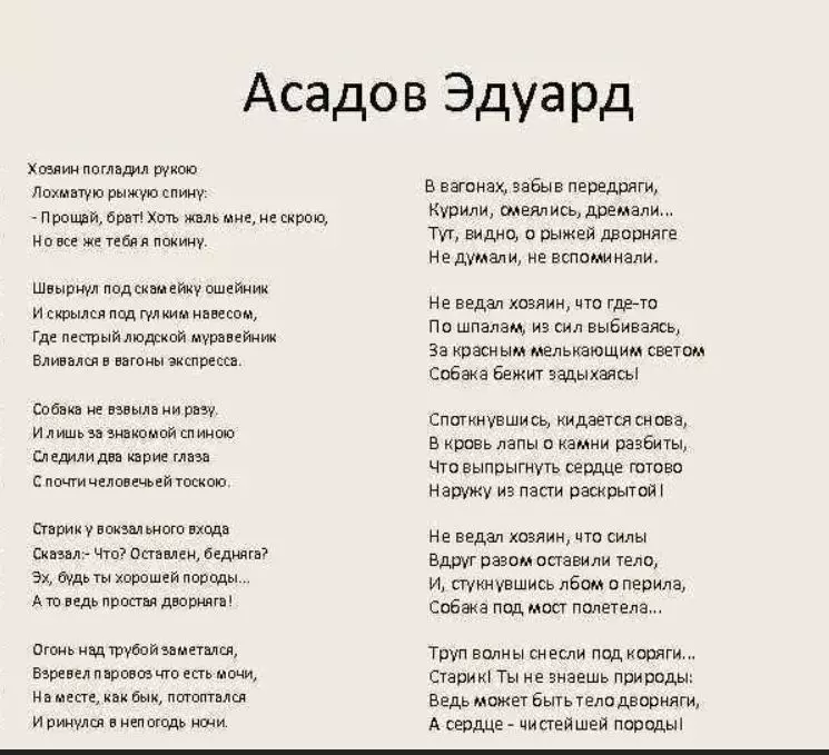 Любимые стихи