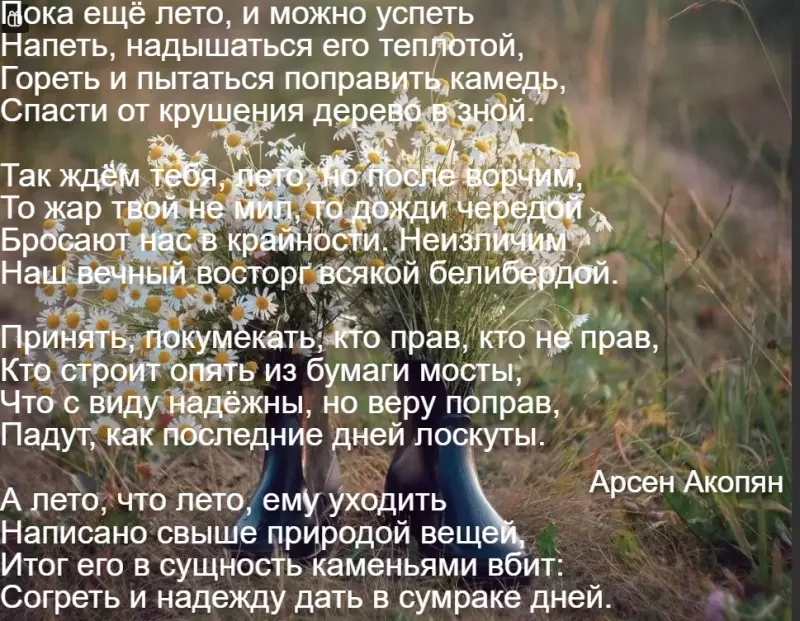 Любимые стихи