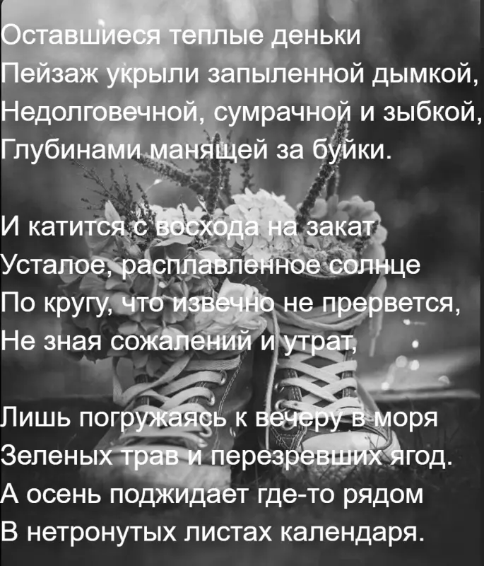 Любимые стихи