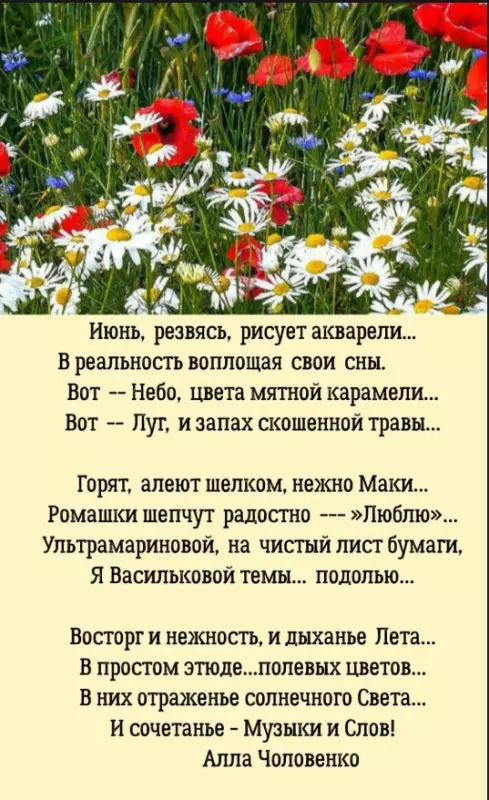 Любимые стихи