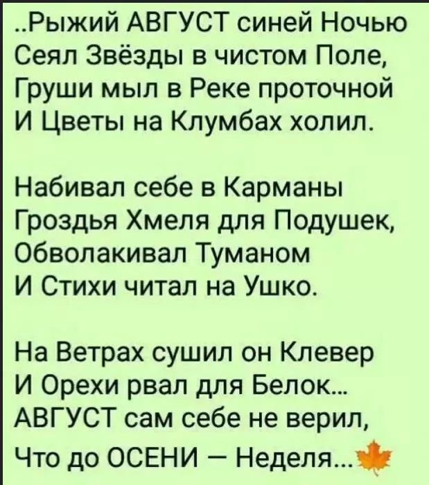 Любимые стихи