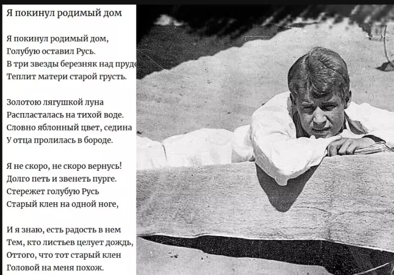 Любимые стихи