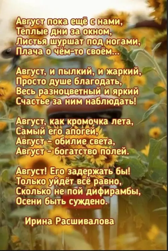 Любимые стихи