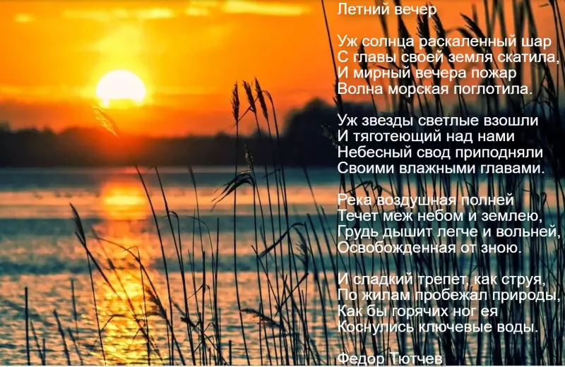 Любимые стихи