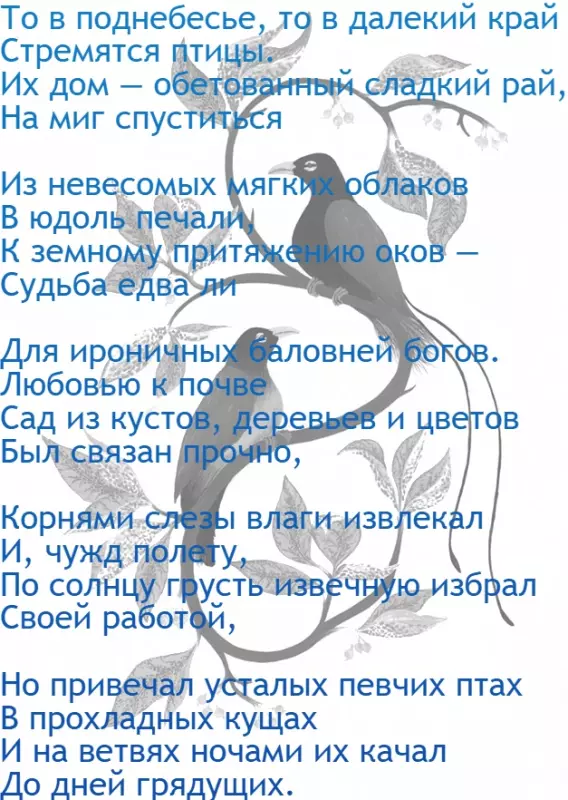 Любимые стихи