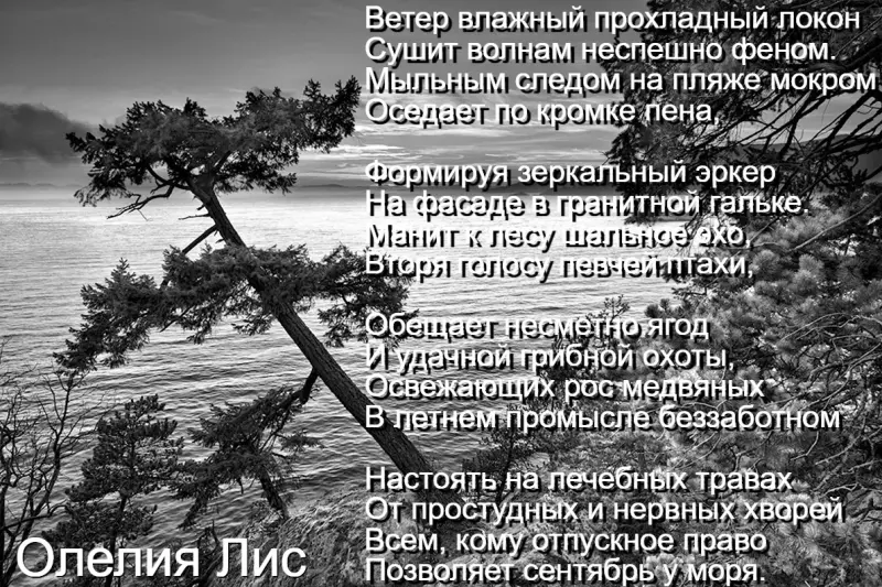 Любимые стихи