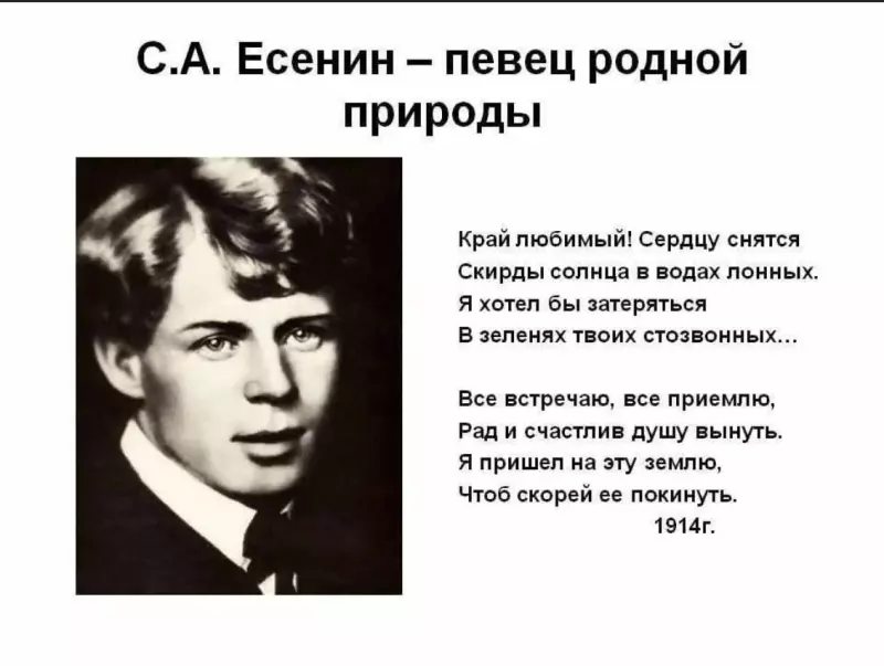 Любимые стихи