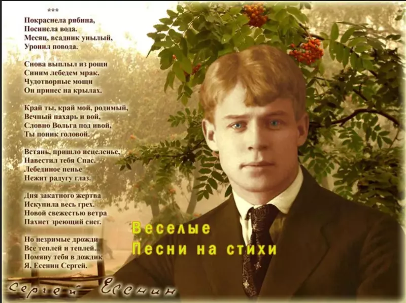 Любимые стихи