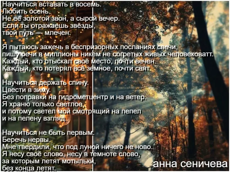 Любимые стихи