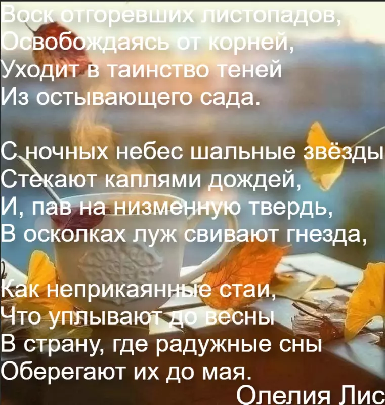 Любимые стихи