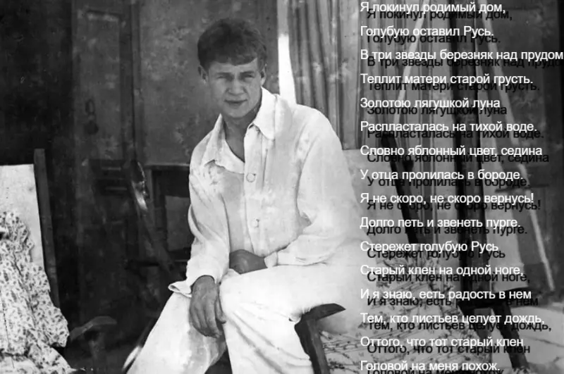 Любимые стихи