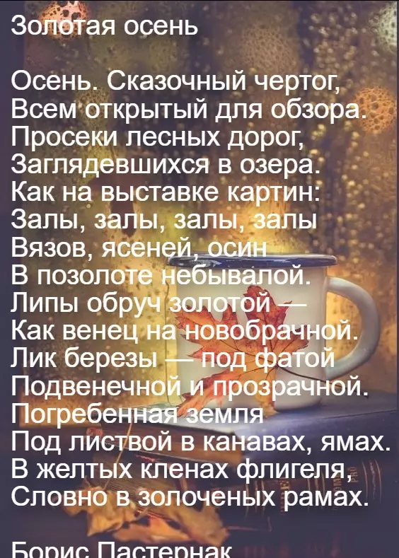 Любимые стихи